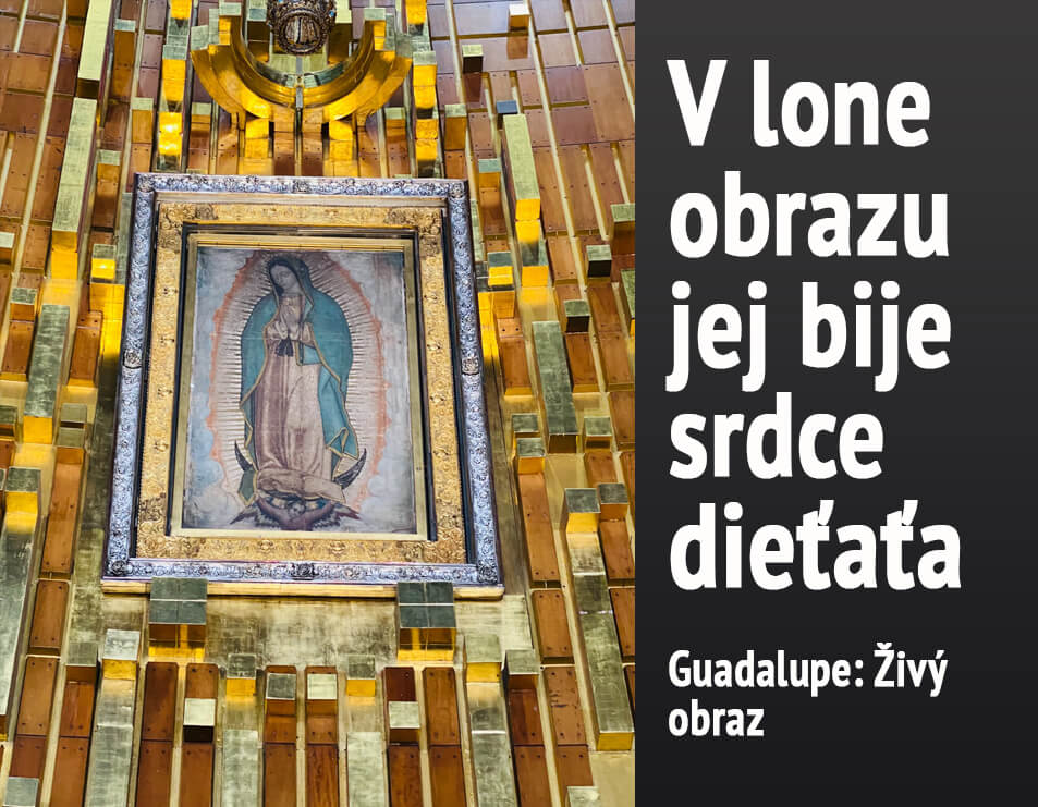GuadalupskaGrafika_Navrh1.2_Druhastrana